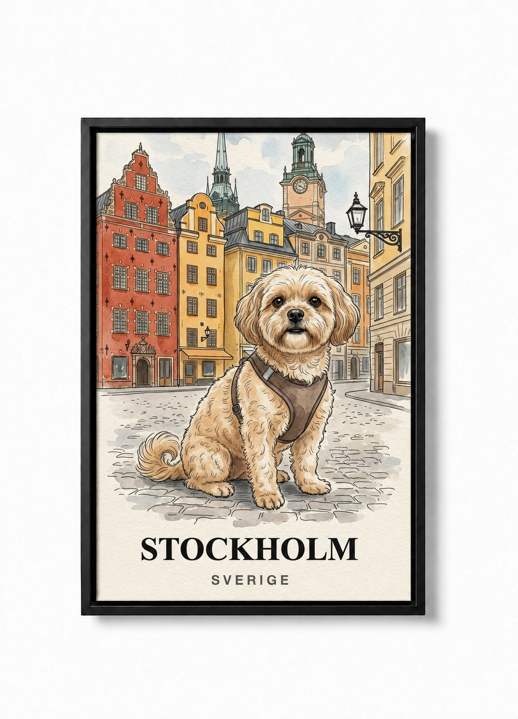 The Postcard